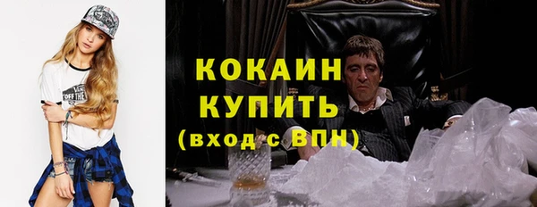 spice Богородск