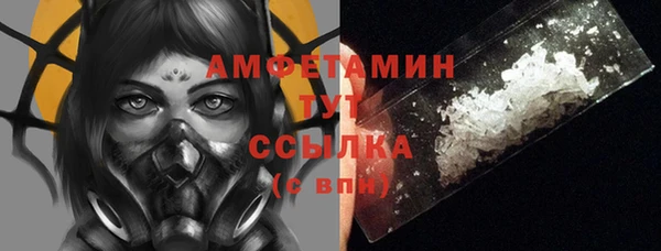 spice Богородск