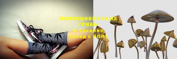кристаллы Верея