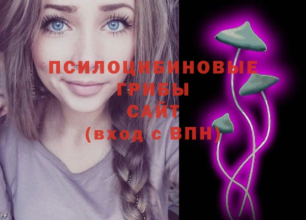 мдма Богородицк