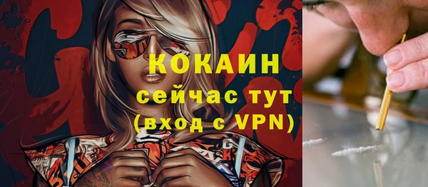 spice Богородск