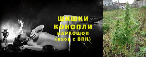 spice Богородск