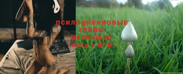 spice Богородск