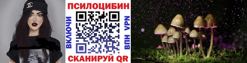 мега сайт  наркошоп  Сретенск  Галлюциногенные грибы ЛСД 
